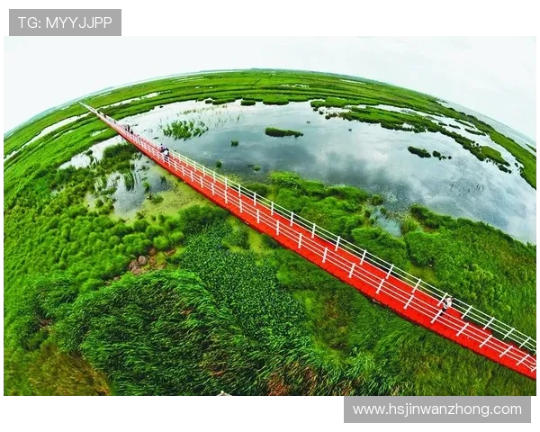 青岛国信水产引领海洋经济发展探索绿色可持续创新之路 青岛国信水产引领海洋经济发展探索绿色可持续创新之路