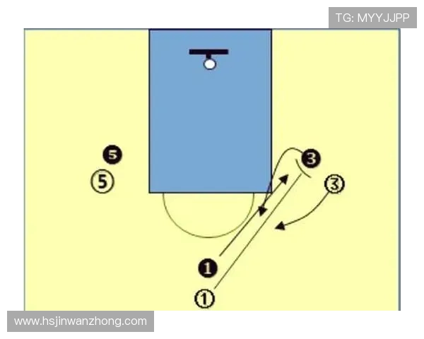 篮球技巧与战术解析 从入门到精通的全面提升指南